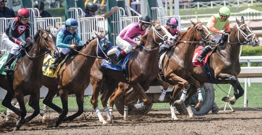 horse racing albert bartlett river don novices hurdle 2019